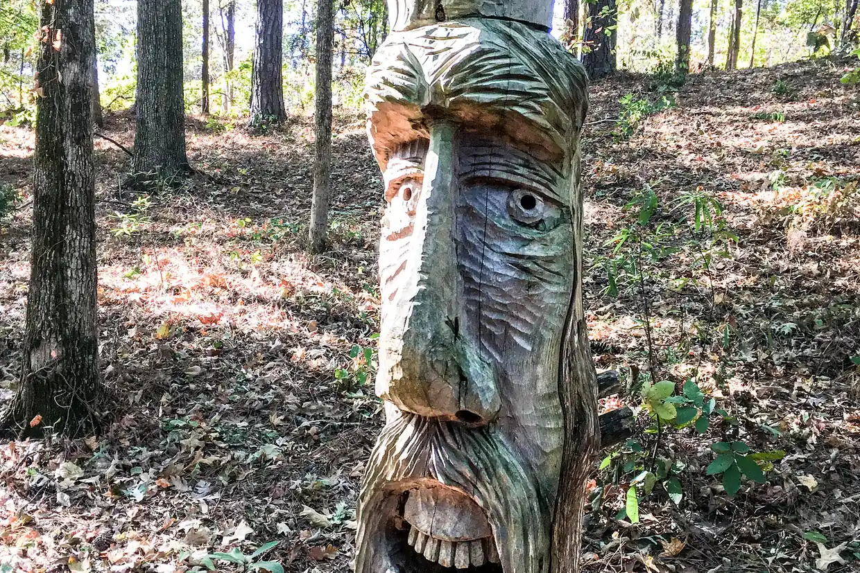 A face carved into a tree trunk in the woods at Aldridge Gardens in Hoover.